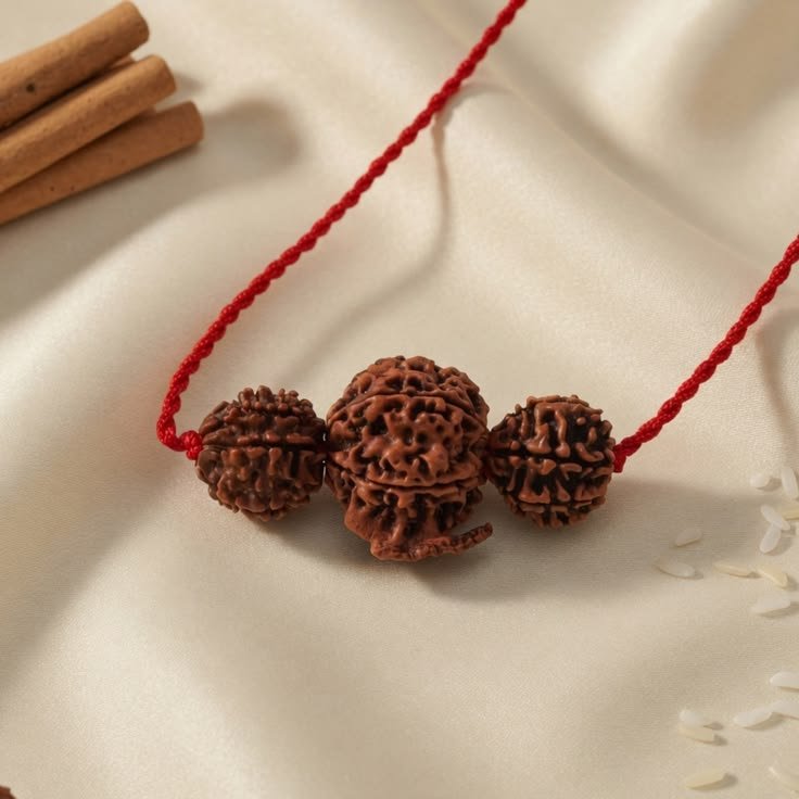 Rudraksha Combination Kits
